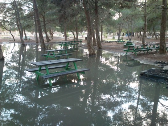 Flooded Picknick Area in Mitzpe Ramin, Negev.